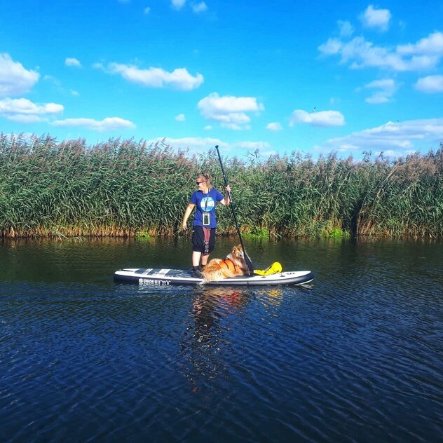 SUP Board mit Hund und Mensch Stralsund