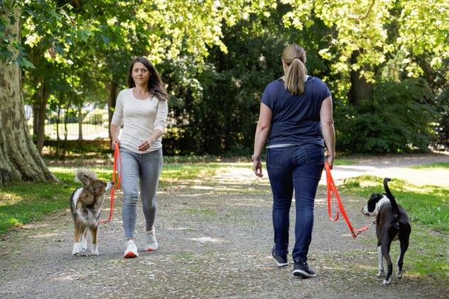 Zwei Frauen mit Hunden an der Leine begegnen sich