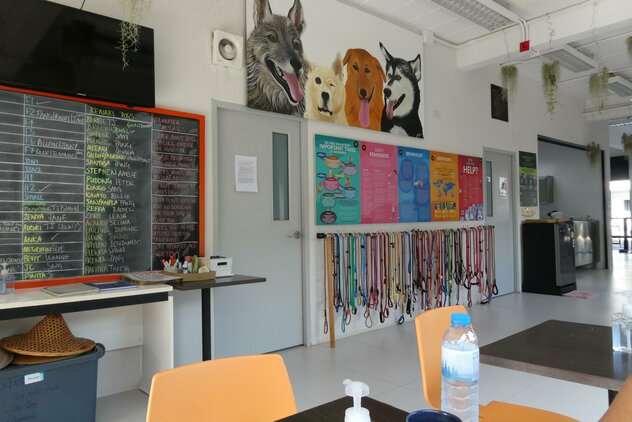 Infotafel Soi Dog