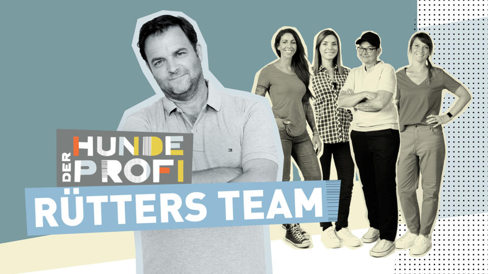 Der Hundeprofi Rütters Team