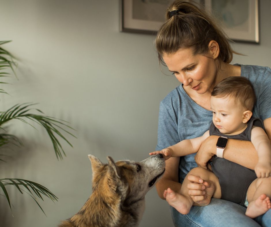 Hund mit Frauchen und Kleinkind
