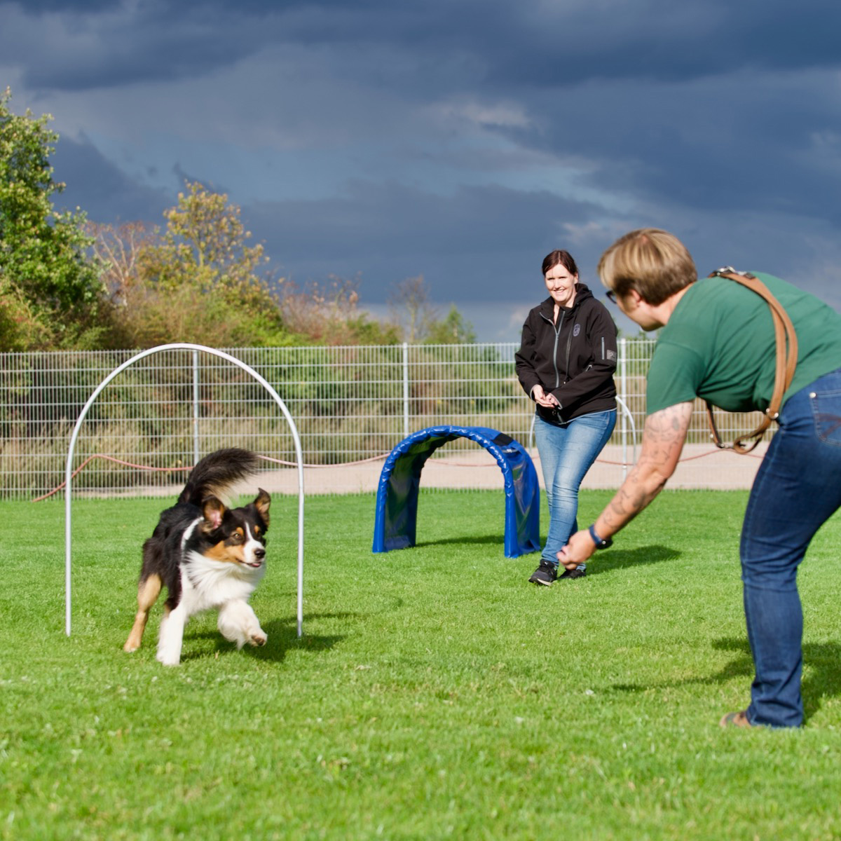 Hoopers Agility: Ein Hund läuft durch einen Bogen, genannt Hoop.