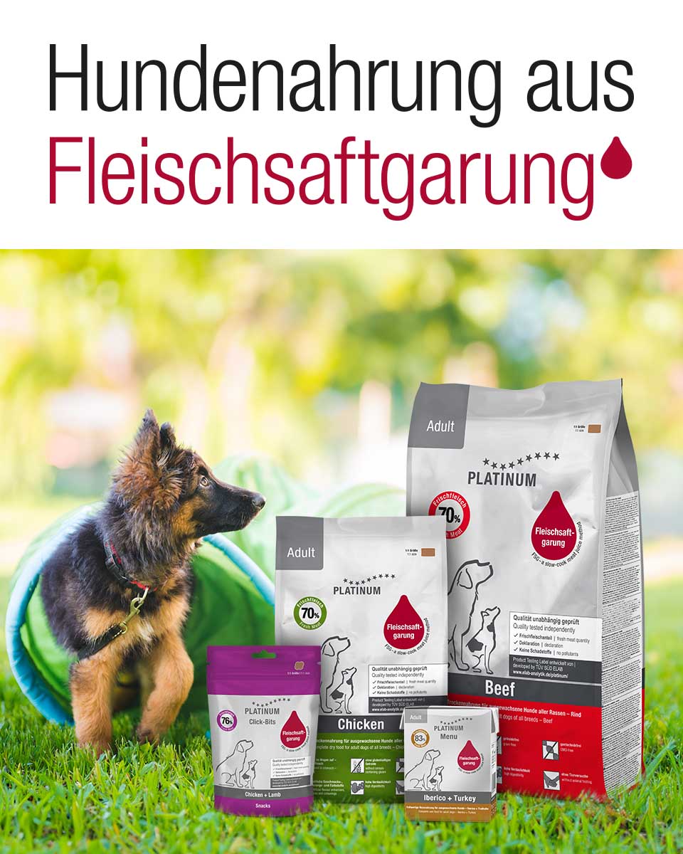 hundefutter menge Bio Nassfutter für Hunde mit Pute