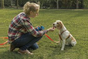 Apportieren - Hund belohnen